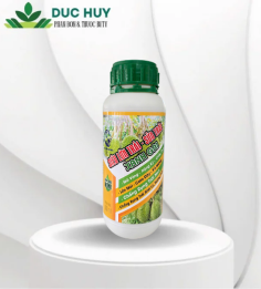 SIÊU LỚN TRÁI – SỮA TRÁI XANH GAI