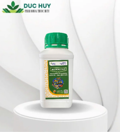 NUTRIACTIVE