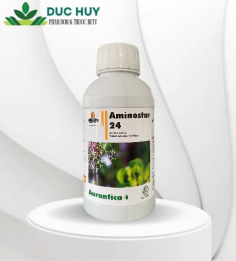 AMINOSTAR 24