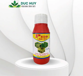 P450 LÂN ĐỎ