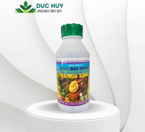 HTC - ĐẠI NGÀN