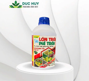 Amino Siêu LỚN TRÁI PHÌ TRÁI